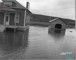 009 - Inondation