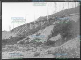 Trestle-work on the Electric Railway.