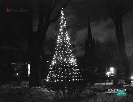 008 - Arbre de Noël de CHLN et cathédrale