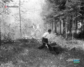 001 - Feu de forêt