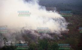 Fumée d'un feu de forêt