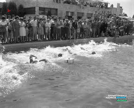 008 - Piscine de l'exposition